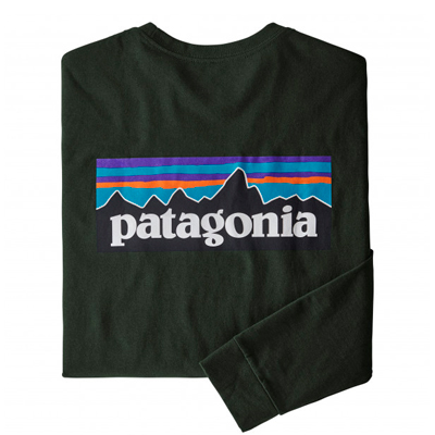 Patagonia P-6 Logo Responsibili-Tee Green