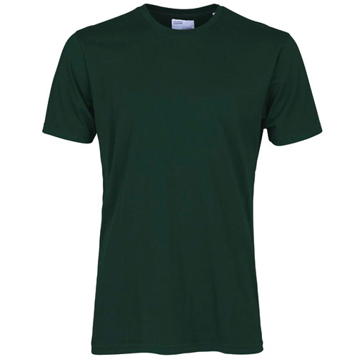 Colorful Standard Classic Tee Shirt Green